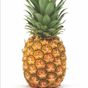 Meet your Posher, Jon